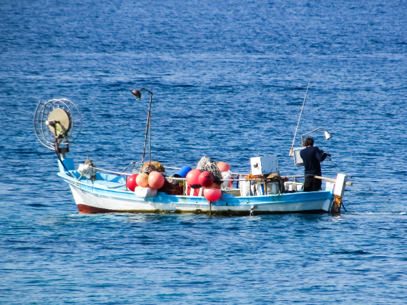 Οι δικαιούχοι πλοιοκτήτες επαγγελματικών αλιευτικών σκαφών για το de minimis